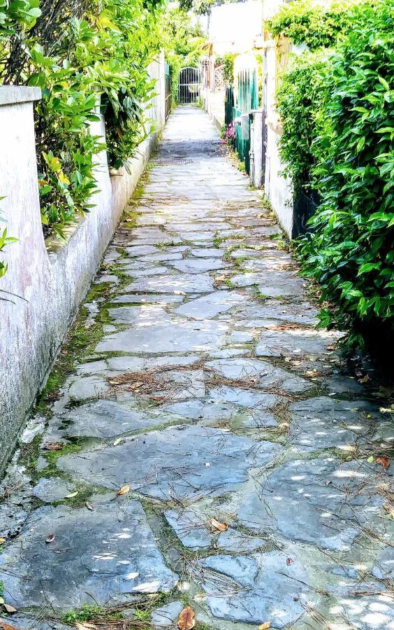 فيلا توري ديل لاغو بوتشينيفي Casa Tonfoni المظهر الخارجي الصورة